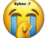 a yellow smiley face with tears coming out of its eyes and the words sybau on it .