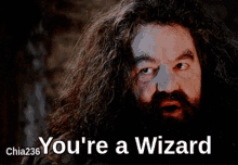 youre a wizard hagrid afirmation magic magical