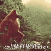 a monkey is standing in the woods with the words `` happy happy i could n't find penis gif '' .