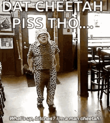 Danny Devito Swag GIF - Danny Devito Swag Man Cheetah GIFs