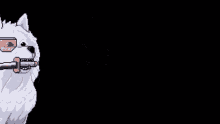 Solsamosnft Samoyed GIF