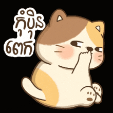 a brown and white cat covering its nose with its hand