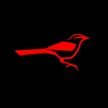 Team Cardinalis Esport GIF