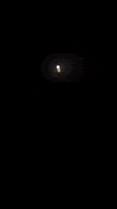 a light with a picture of a bear and balloons on it
