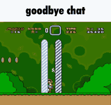 goodbye chat super mario bye