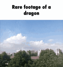 rare dragon