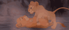 Hug Cuddle GIF - Hug Cuddle Lion GIFs