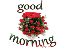 Good Morning Morning GIF - Good Morning Morning Rose GIFs