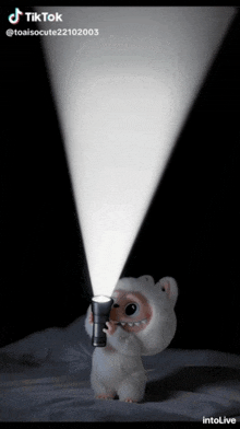 a cartoon character is holding a flashlight and says tiktok at the bottom