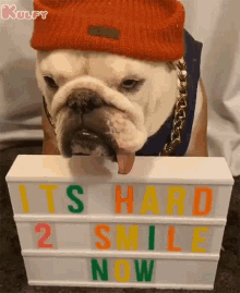 Its Hard To Smile Now Dog GIF