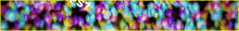 a colorful background with a yellow border and the letter s in the middle