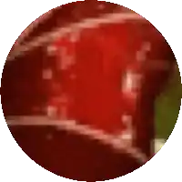 a close up of a red ball in a circle with a white background