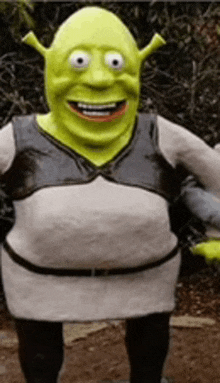 a statue of shrek from the movie shrek is smiling and standing in the dirt .