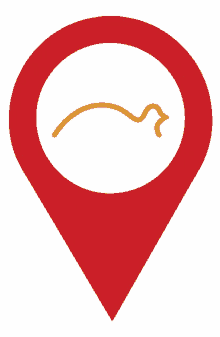palomax location spin icon pin location