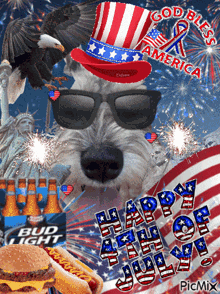 a picture of a dog wearing sunglasses and a patriotic hat with the words god bless america