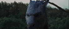 a close up of a dragon 's face in front of a forest