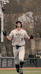 Wake Baseball Wake Forest Demon Deacons GIF - Wake Baseball Wake Forest Demon Deacons Wakebaseball GIFs