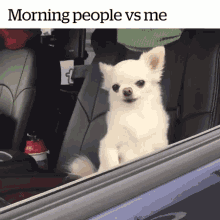 Dog Morning People Vs Me GIF - Dog Morning People Vs Me Dogs GIFs