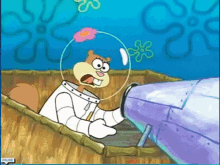 Barnacles This Is A Load Of Barnacles GIF - Barnacles This Is A Load Of Barnacles Sponge Bob GIFs