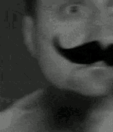 a black and white photo of a man wearing a fake mustache and bow tie .