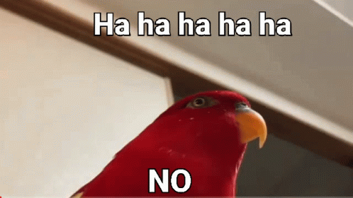not-funny-didnt-laugh-red-bird.gif