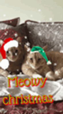 Meowy Christmas GIF - Meowy Christmas Santa GIFs