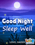 Good Night Sleep Well GIF - Good Night Sleep Well Good Night Love GIFs