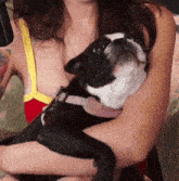 a woman is holding a small black and white dog in her arms