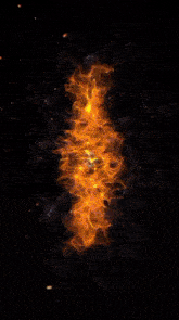a scorpion is surrounded by fire in a circle