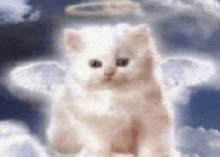 a white cat with angel wings and a halo on its head is sitting in the clouds .