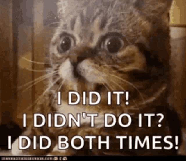 a cat says i did it i did n't do it i did both times .