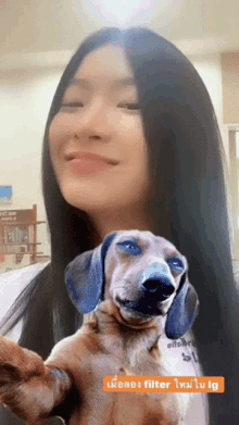 Stangbnk48 Dog GIF - Stangbnk48 Dog Selfie GIFs
