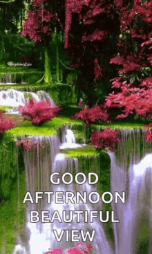 Greetings Good Afternoon GIF - Greetings Good Afternoon View GIFs