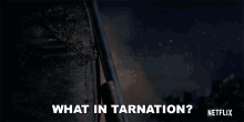 What In Tarnation Ugly Dave GIF - What In Tarnation Ugly Dave Love Death And Robots GIFs