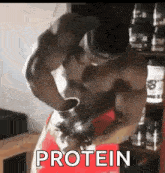 Protein Powder GIF - Protein Powder Scoop GIFs