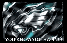 Fly Eagles GIF - Fly Eagles GIFs