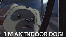 a pug dog is looking out of a window and says i 'm an indoor dog !