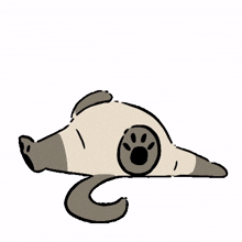 sleeping time sleeping snoring deep sleep rest sleeping time sleeping snoring deep sleep rest