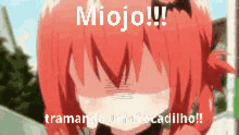 Miojoo GIF - Miojoo Miojo GIFs