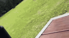 a black bottle with a silver lid is sitting on a pole in the grass