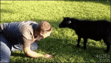 Goat Stand GIF - Goat Stand GIFs