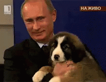 Putin Puppy GIF - Putin Puppy Animal GIFs