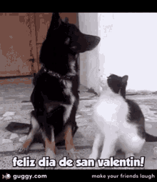 Feliz Dia Desan Valentine Dogs GIF