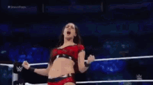 Brie Bella Kick GIF - Brie Bella Kick Fight GIFs