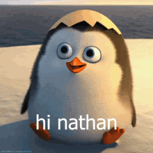 Penguin Hi GIF - Penguin Hi Nathan GIFs