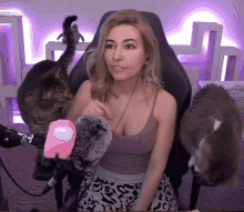 Alinity Clapping GIF - Alinity Clapping Hype GIFs