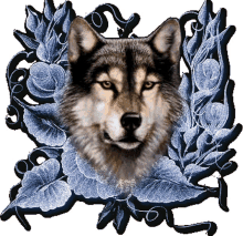 wolf wolves animal glitters