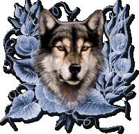 Wolf Wolves Sticker - Wolf Wolves Animal Stickers