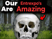 a picture of a skull with the words " our entrexpo 's are amazing "