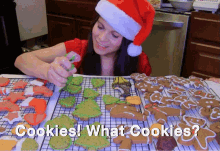 Christmas Cookies GIF - Christmas Cookies Baking GIFs
